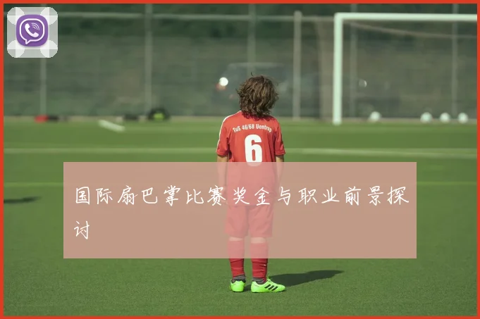 国际扇巴掌比赛奖金与职业前景探讨