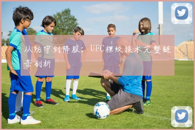 从防守到降服：UFC裸绞技术完整链条剖析