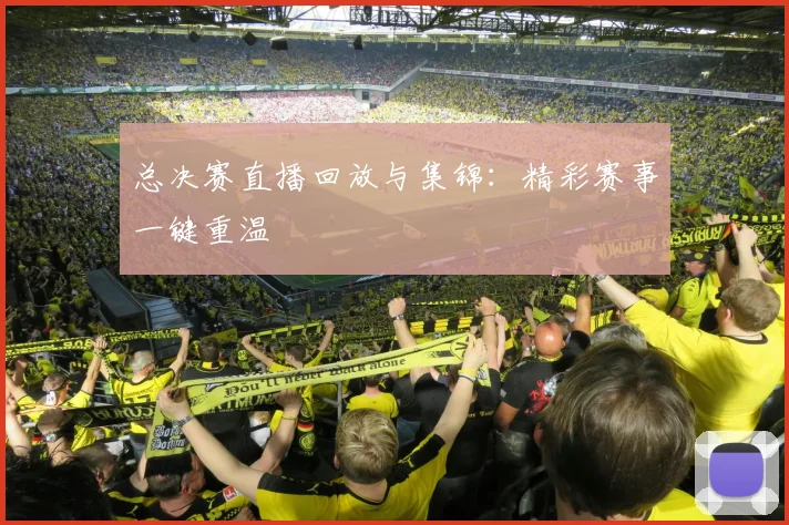 总决赛直播回放与集锦:精彩赛事一键重温