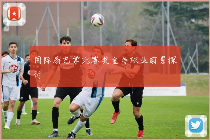 国际扇巴掌比赛奖金与职业前景探讨
