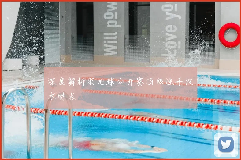 深度解析羽毛球公开赛顶级选手技术特点